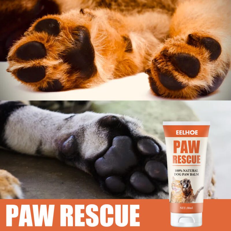Pet Paw Care Cream for Cats & Dogs - Nourishing Foot Cream for Soles & Pads - Image 2