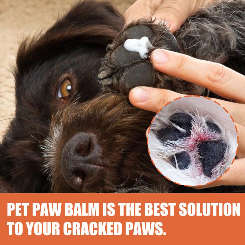 Pet Paw Care Cream for Cats & Dogs - Nourishing Foot Cream for Soles & Pads - Image 4