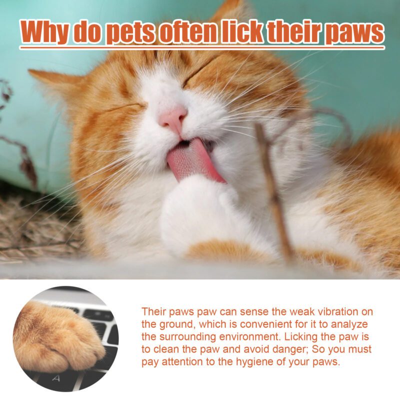 Pet Paw Care Cream for Cats & Dogs - Nourishing Foot Cream for Soles & Pads - Image 5