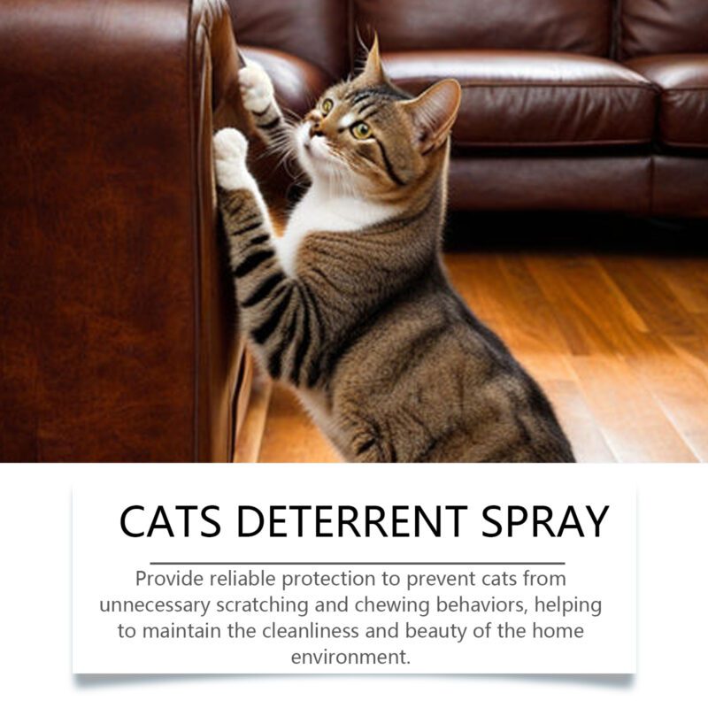 Cat Urine Deterrent Spray - Gentle Formula Care Spray to Stop Cats from Peeing on Bed Effectively - Image 3