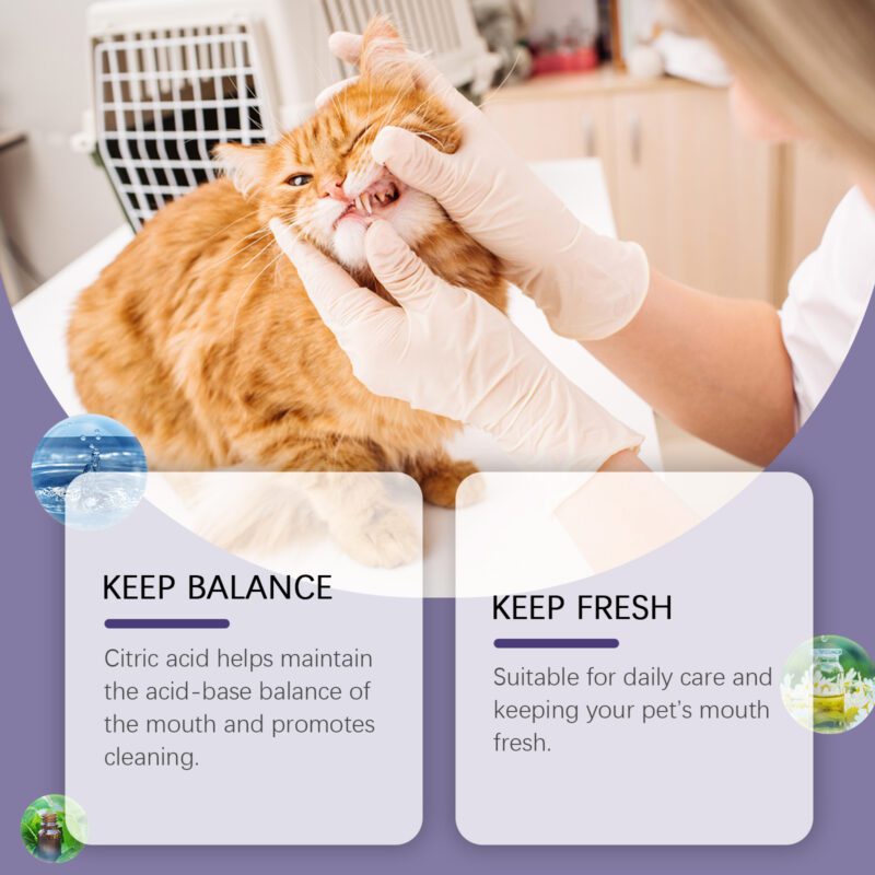 Pet Oral Repair & Cleaning Gel - Effective Tooth Stain Removal for Yellow Teeth, Daily Care Oral Gel - Image 3
