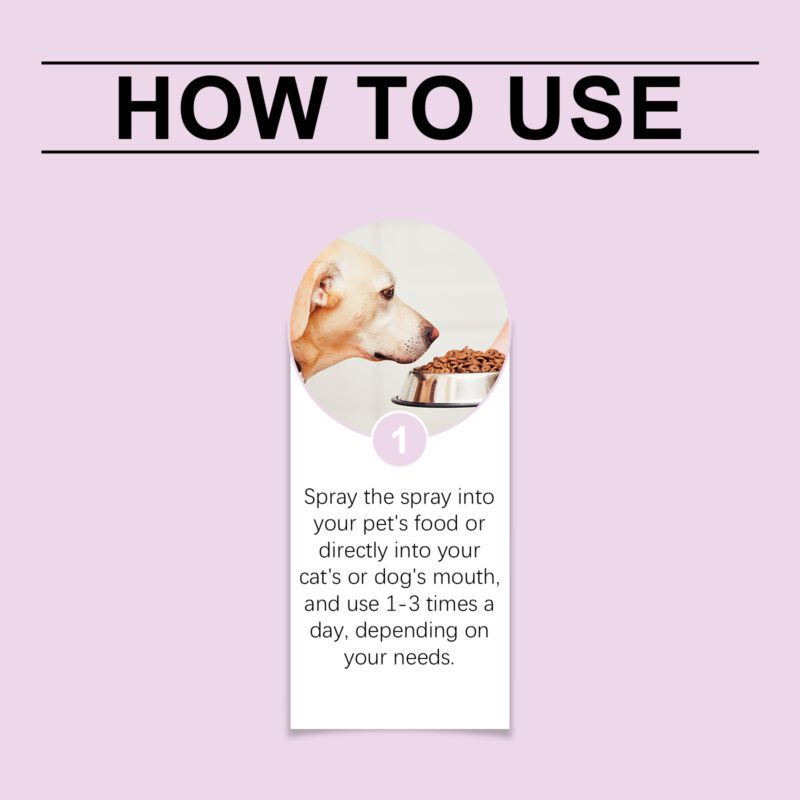Pet Oral Care Tooth Spray - Deep Teeth Cleaning, Stain Removal & Yellow Teeth Whitening for Dogs/Cats - Image 6