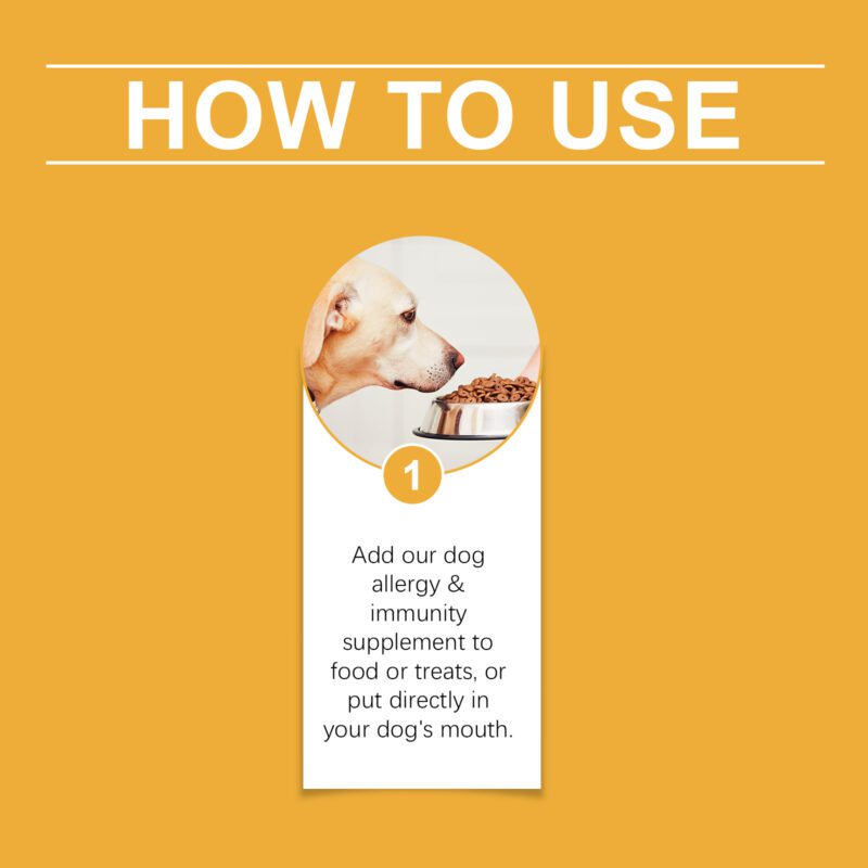 Dog Body Care Drops - Relieve & Soothe Pet Body Discomfort, Nutritional Supplement for Canine Body Care - Image 6