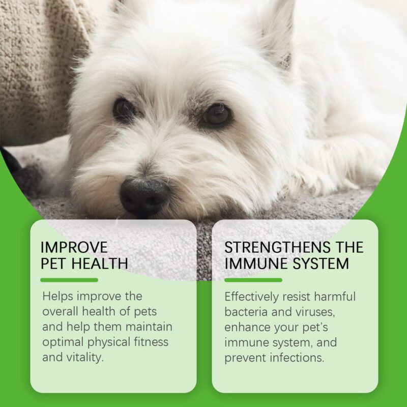 Premium Dog Dietary Supplements - Support Overall Health & Vitality for Happy, Healthy Dogs - Image 3