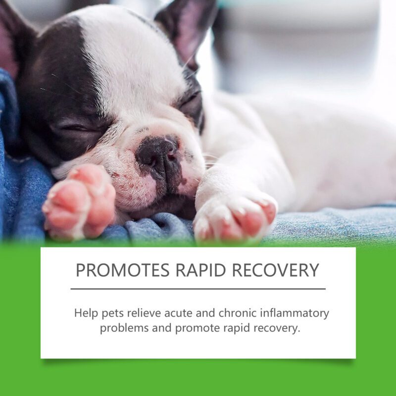 Premium Dog Dietary Supplements - Support Overall Health & Vitality for Happy, Healthy Dogs - Image 4