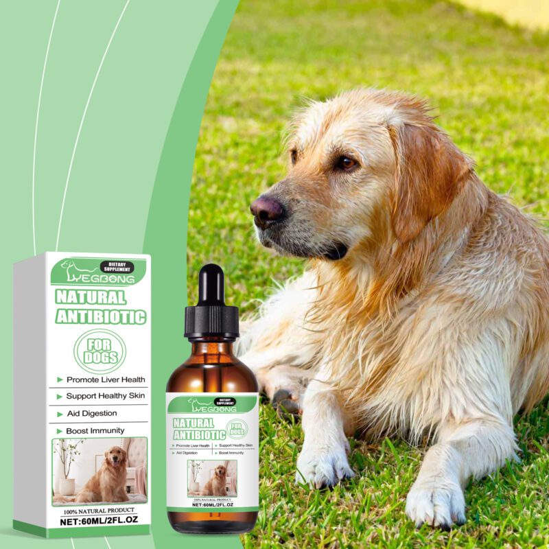 Dog Supplement Drops - Supports Healthy Skin, Promotes Digestion & Boosts Immunity | Premium Dietary Supplement - Image 2