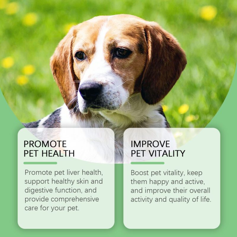 Dog Supplement Drops - Supports Healthy Skin, Promotes Digestion & Boosts Immunity | Premium Dietary Supplement - Image 4