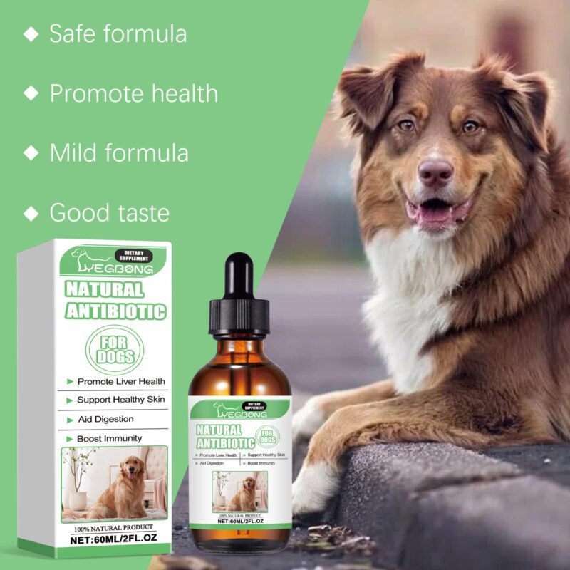 Dog Supplement Drops - Supports Healthy Skin, Promotes Digestion & Boosts Immunity | Premium Dietary Supplement - Image 3