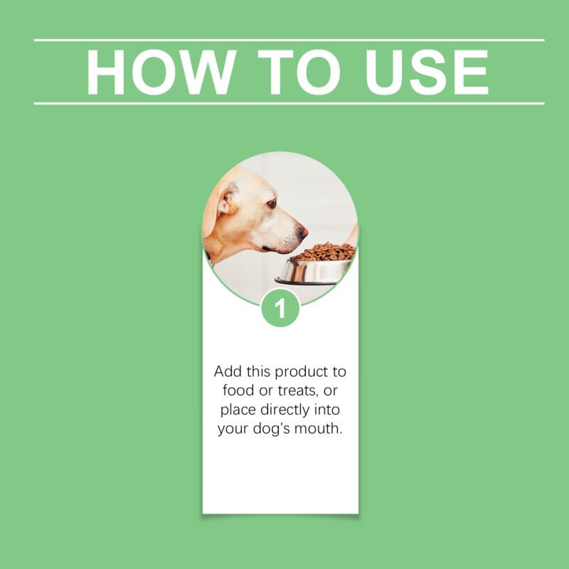 Dog Supplement Drops - Supports Healthy Skin, Promotes Digestion & Boosts Immunity | Premium Dietary Supplement - Image 6
