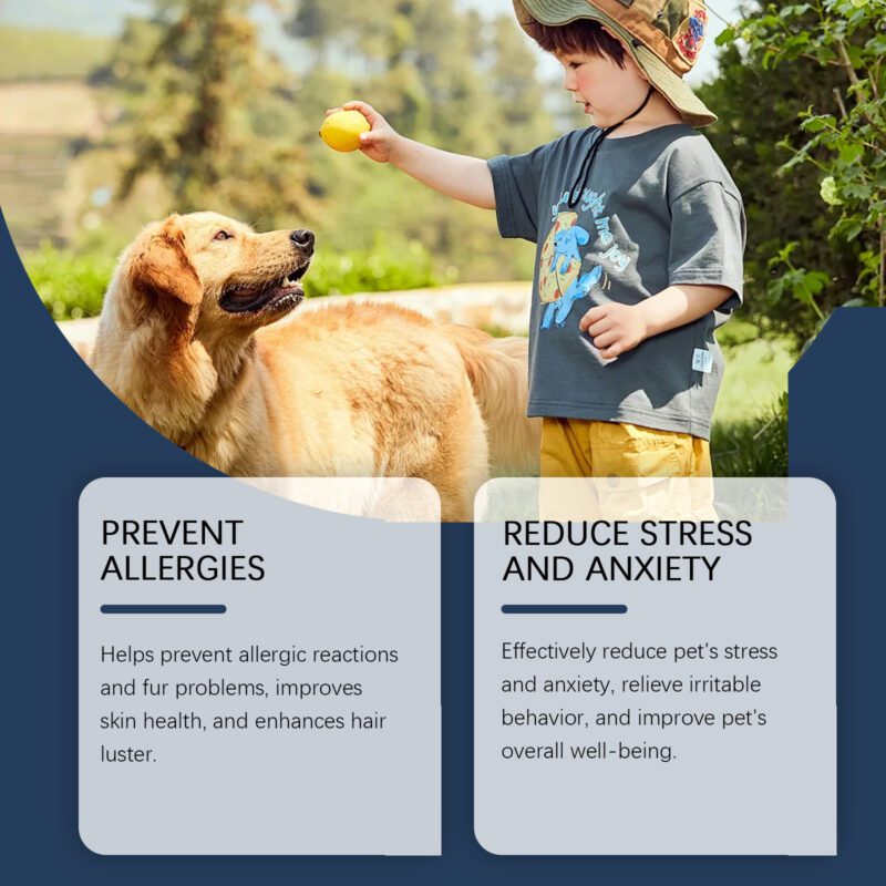 Immune-Boosting Dog Food Supplement - Premium Healthy Dietary Support for Canine Wellness - Image 3