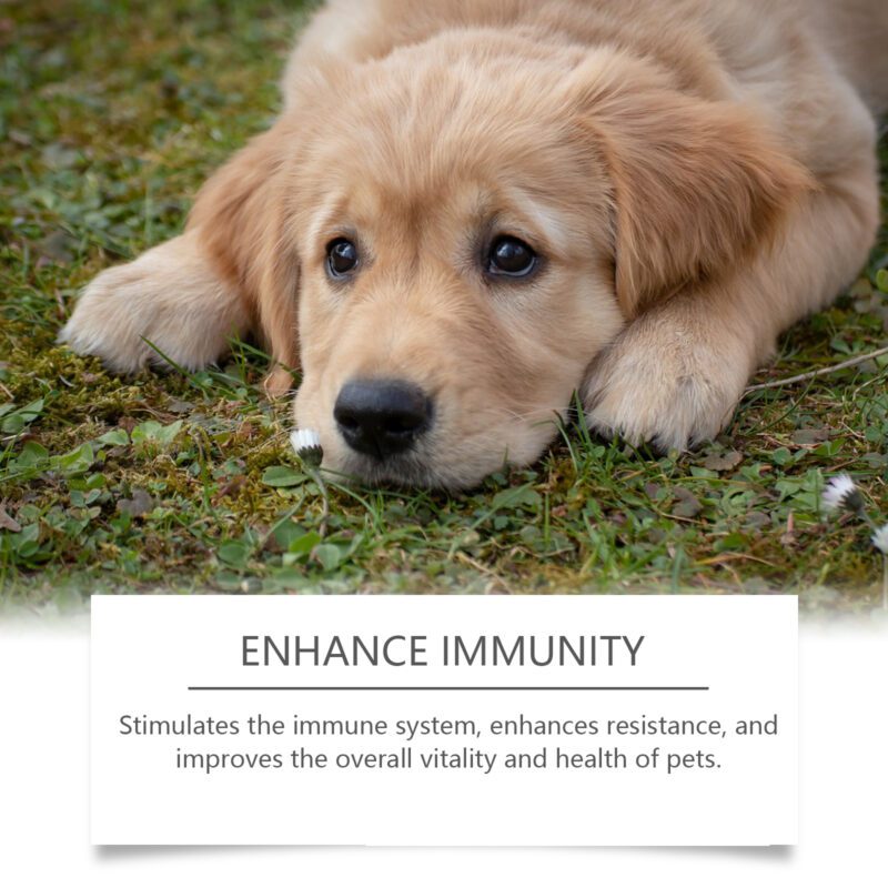 Immune-Boosting Dog Food Supplement - Premium Healthy Dietary Support for Canine Wellness - Image 4