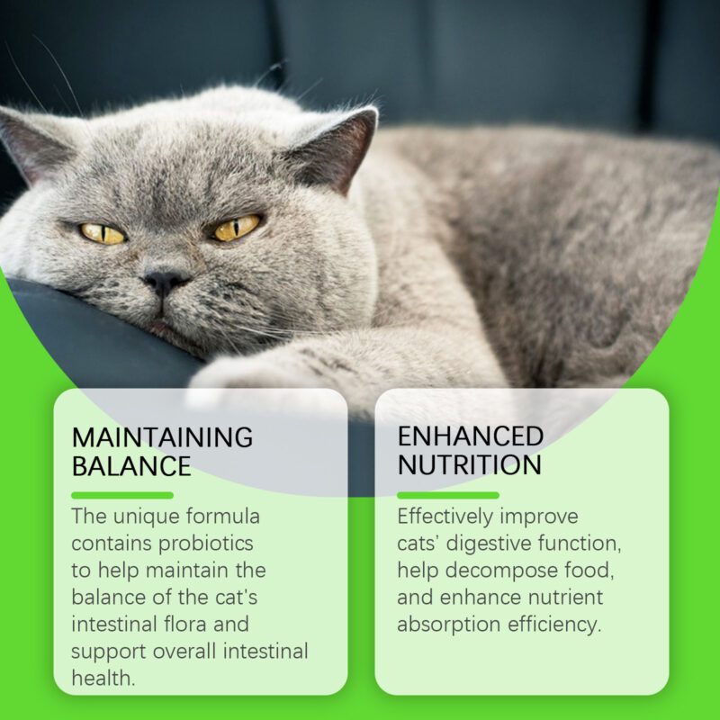 Cat Probiotic Drops: Support Feline Health, Vitality & Nutrient Absorption - Digestive Care Supplement for Cats - Image 4