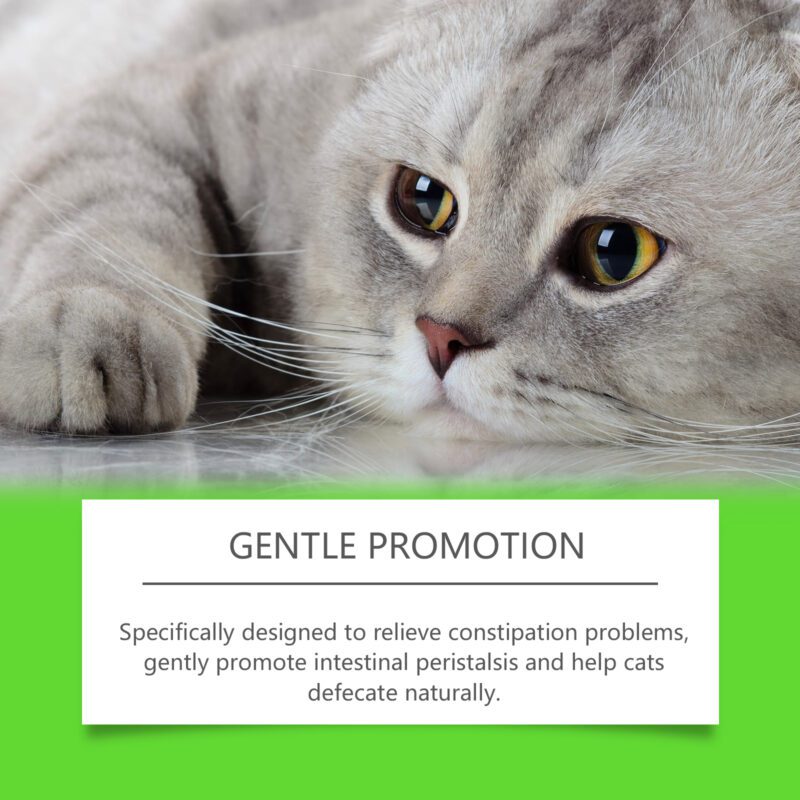 Cat Probiotic Drops: Support Feline Health, Vitality & Nutrient Absorption - Digestive Care Supplement for Cats - Image 3
