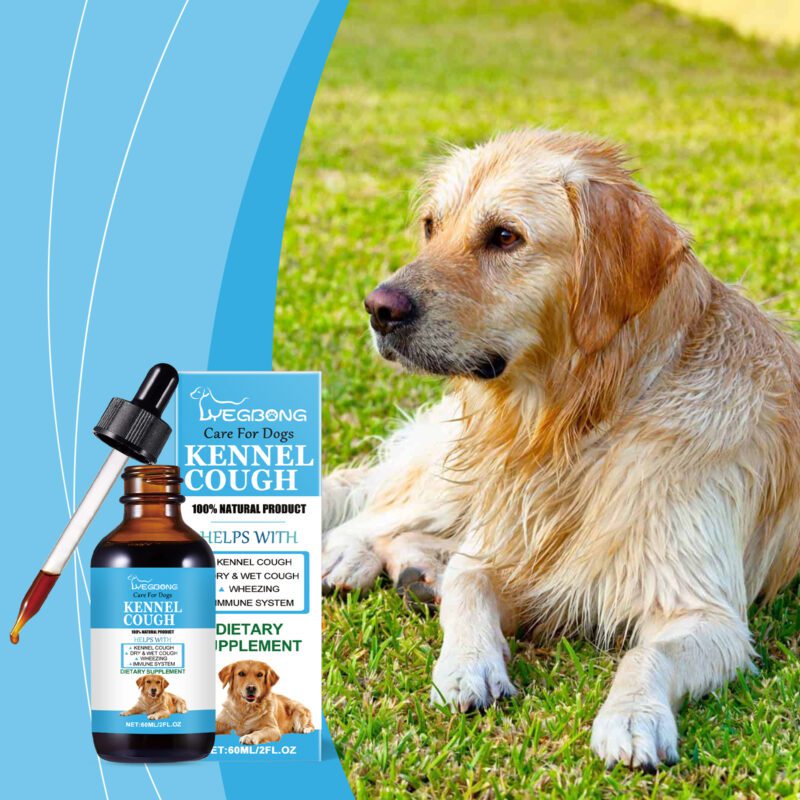 Premium Dog Health Syrup - Enhanced Nutrition Absorption & Special Care Supplement for Pet Dogs - Image 2