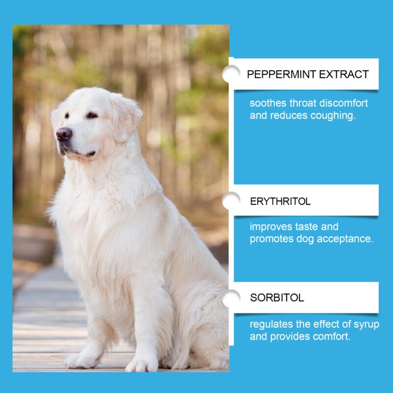 Premium Dog Health Syrup - Enhanced Nutrition Absorption & Special Care Supplement for Pet Dogs - Image 4
