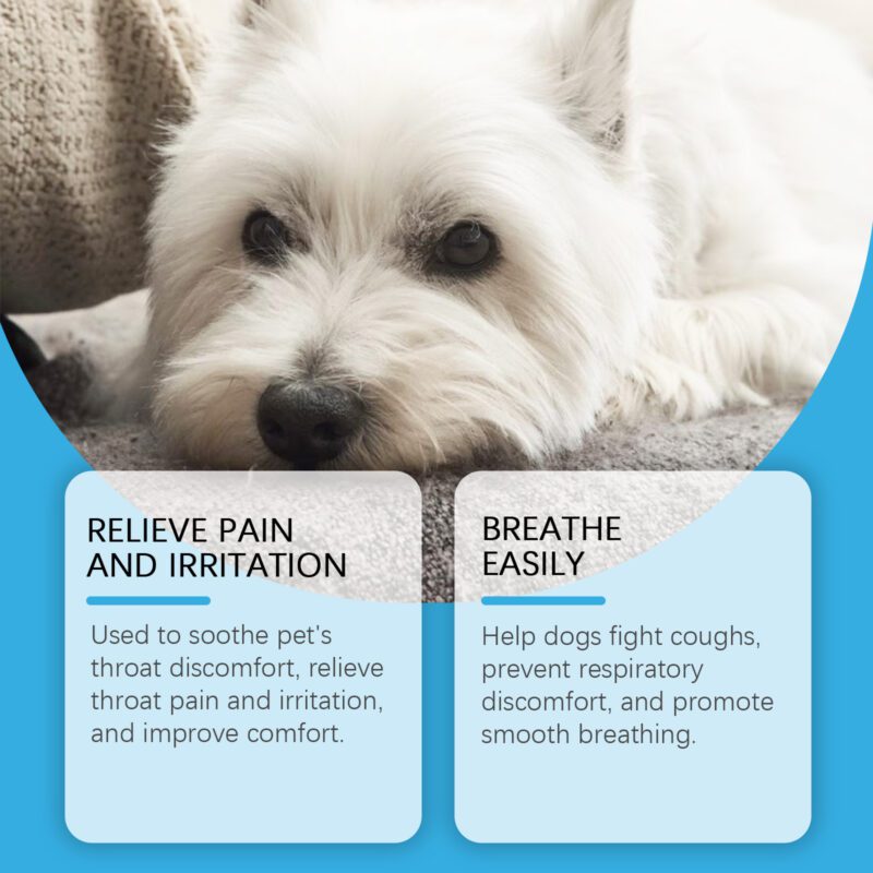 Premium Dog Health Syrup - Enhanced Nutrition Absorption & Special Care Supplement for Pet Dogs - Image 3