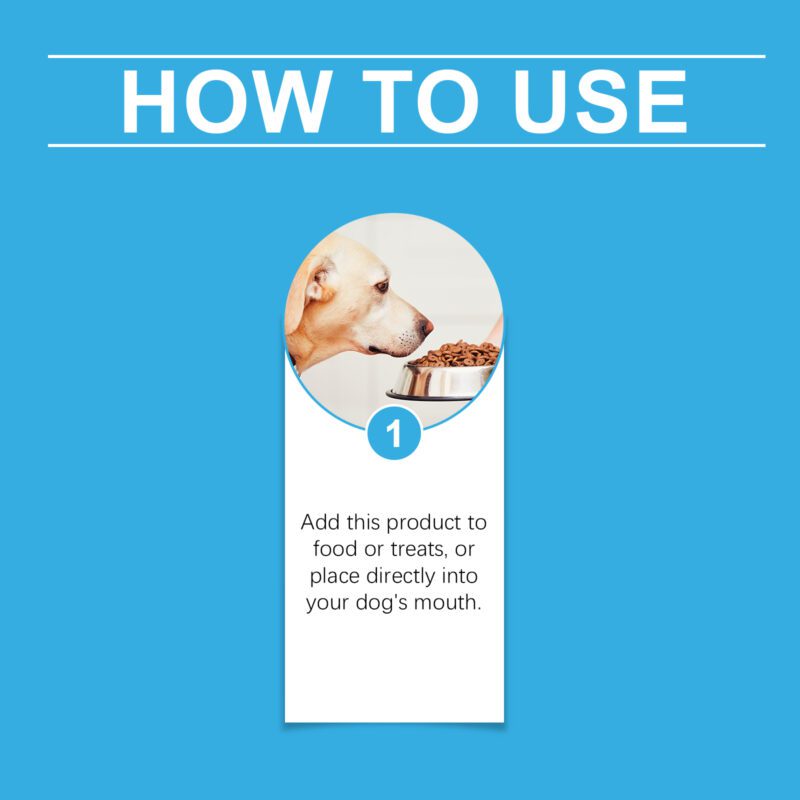 Premium Dog Health Syrup - Enhanced Nutrition Absorption & Special Care Supplement for Pet Dogs - Image 6