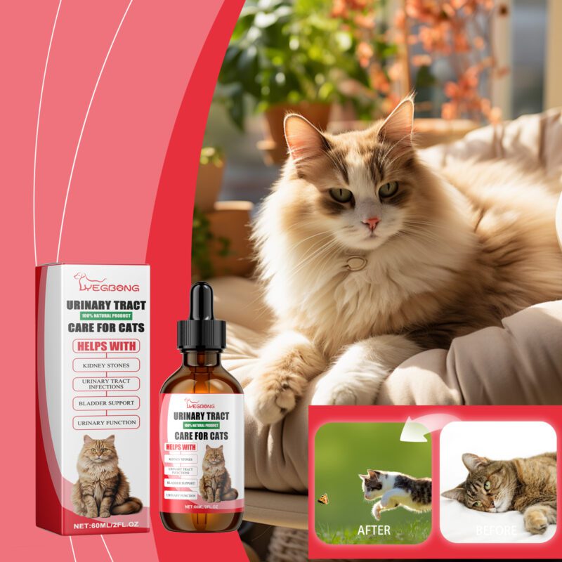 Cat Nutritional Supplement for Pets - Relieve Body Discomfort & Boost Absorption, Premium Dietary Support - Image 2