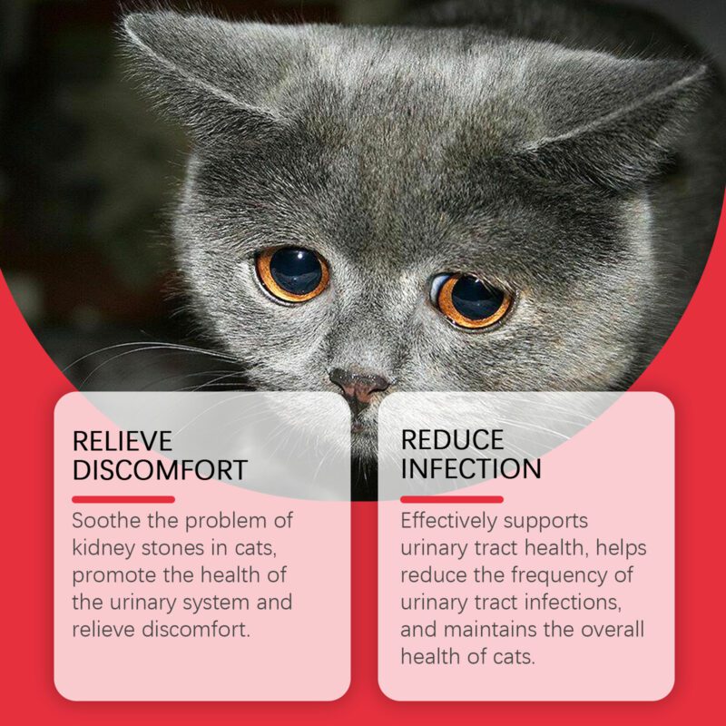 Cat Nutritional Supplement for Pets - Relieve Body Discomfort & Boost Absorption, Premium Dietary Support - Image 3