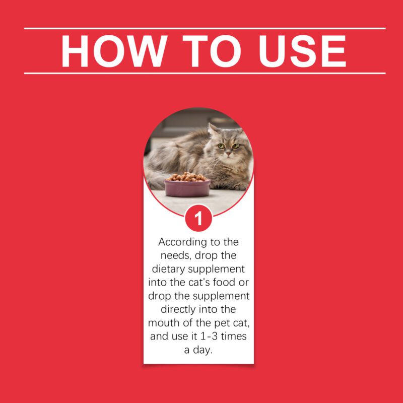 Cat Nutritional Supplement for Pets - Relieve Body Discomfort & Boost Absorption, Premium Dietary Support - Image 6