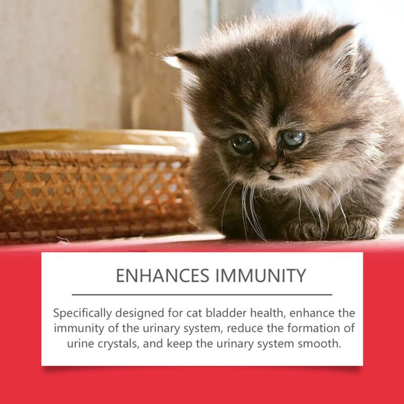 Cat Nutritional Supplement for Pets - Relieve Body Discomfort & Boost Absorption, Premium Dietary Support - Image 4
