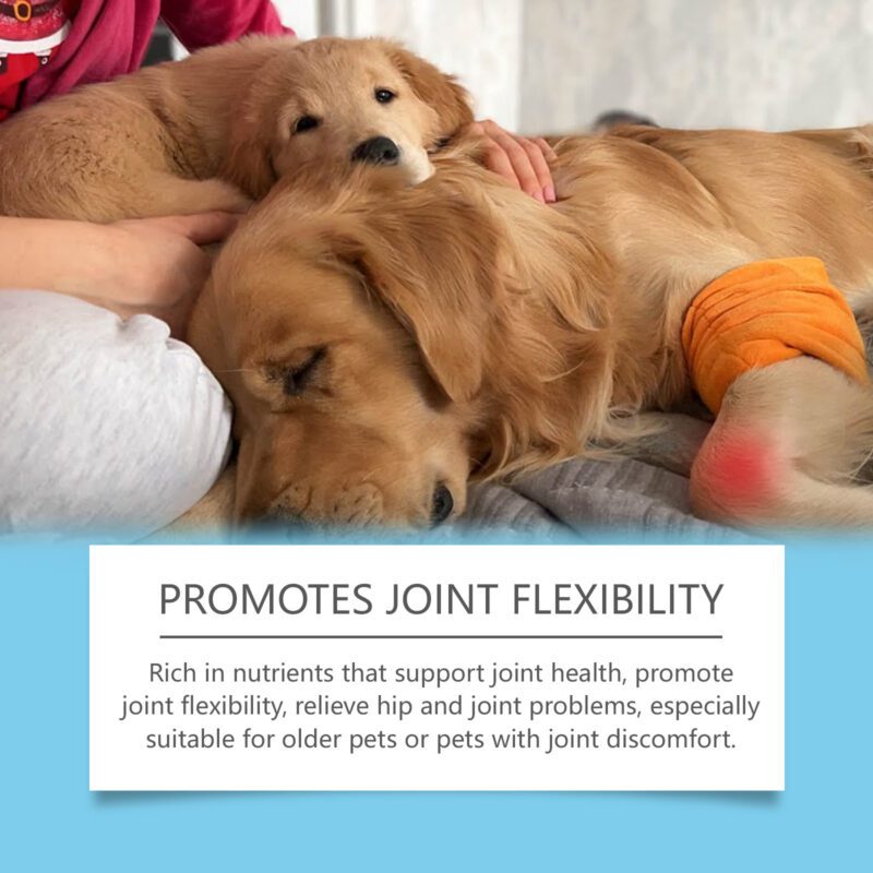 Premium Immune-Boosting Pet Drops | Nutritional Supplements for Dogs & Cats with Essential Immunity Support - Image 4