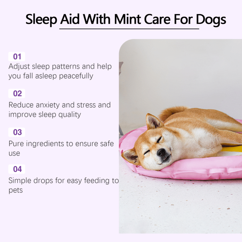 Dog Calming Sleep Drops - Soothe Restless Pups for Peaceful Nighttime Sleep | Pet Sleep Support Supplement - Image 3