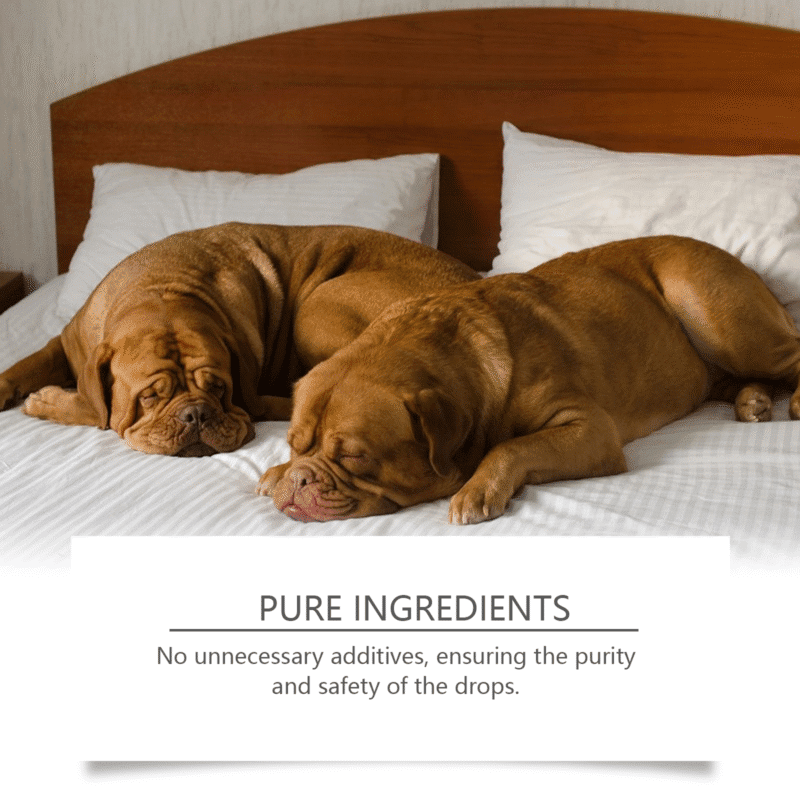 Dog Calming Sleep Drops - Soothe Restless Pups for Peaceful Nighttime Sleep | Pet Sleep Support Supplement - Image 4