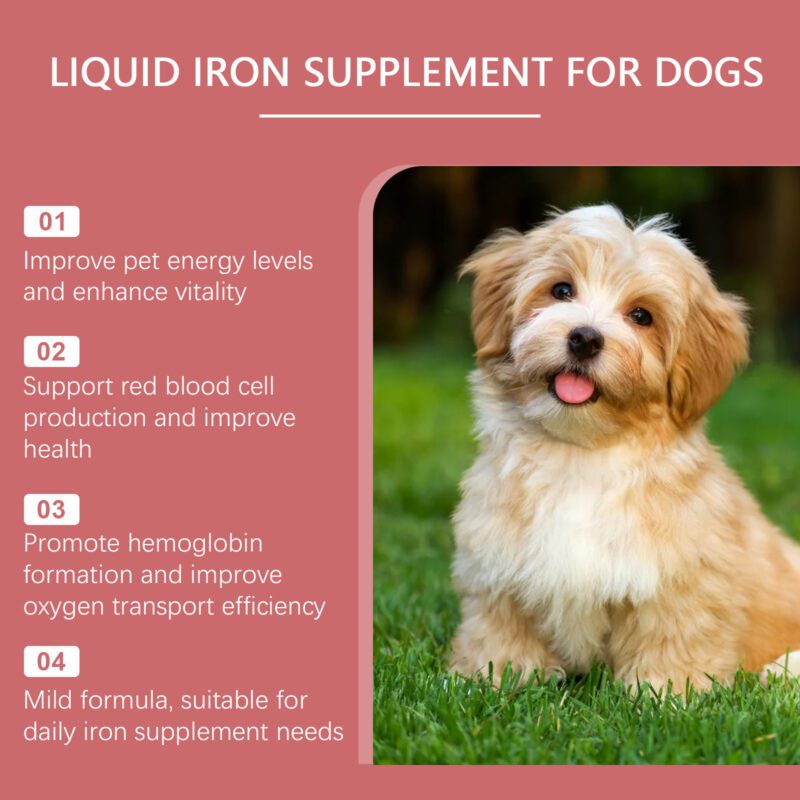 Gentle Pet Dog Syrup - Nourishing Formula with Mild Ingredients to Boost Absorption of Care Supplements & Pamper Your Beloved Pup - Image 3