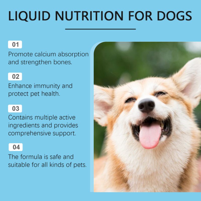 Premium Pet Vitamin Drops - Boost Immunity & Enhance Vitality | Daily Dietary Supplement for Dogs/Cats - Image 3