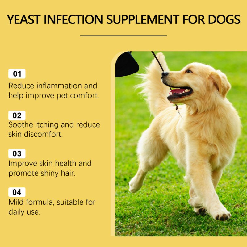 Pet Herbal Yeast Supplement - Soothing Natural Skin Care for External Pet Dermatological Relief - Image 3