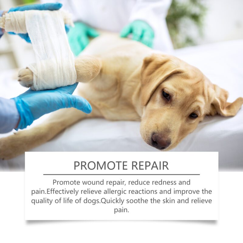 Natural Plant Essence Dog Care Spray - Gentle Cleansing & Soothing Skin Care Spray for Pets - Image 4