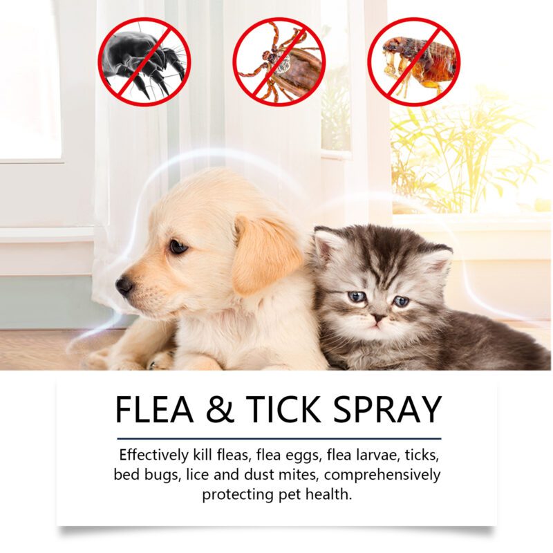 Gentle Daily Pet Insect Repellent Spray for Dogs & Cats - Hair & Skin Care Insect Repellent Spray - Image 3