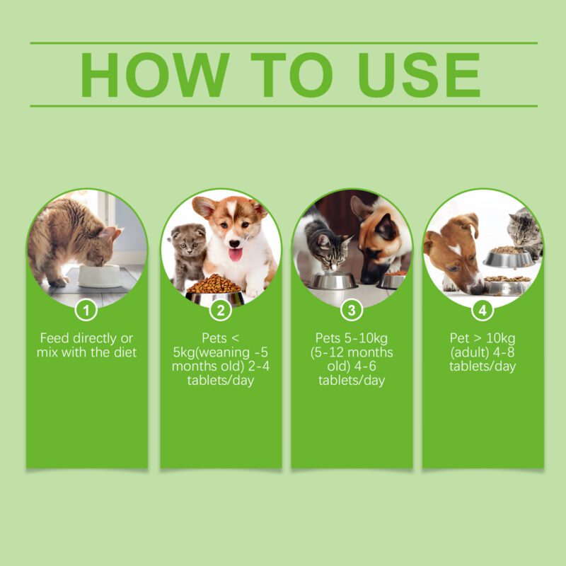 Pet Probiotic Tablets: Supports Gut Health & Enhances Nutritional Absorption, Premium Pet Care Supplement - Image 6