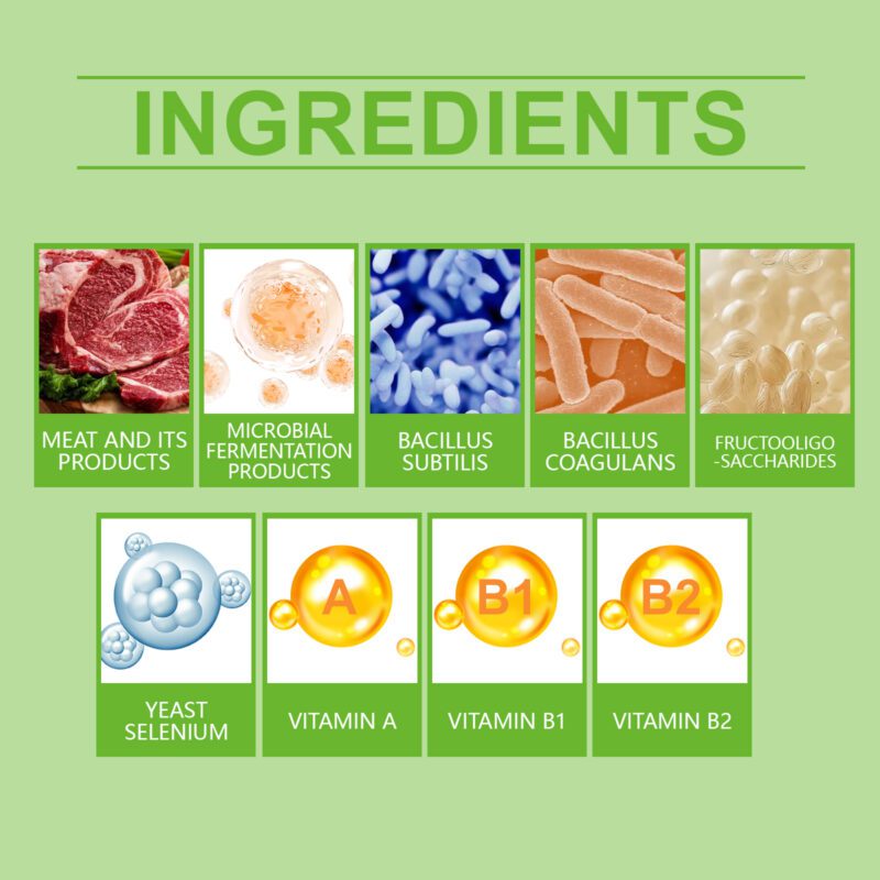 Pet Probiotic Tablets: Supports Gut Health & Enhances Nutritional Absorption, Premium Pet Care Supplement - Image 5