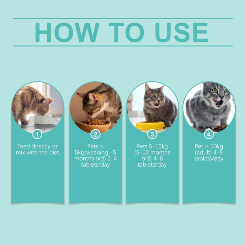 Cat Probiotic Tablets - Enhance Intestinal Health, Balance Digestion & Absorption, Premium Pet Nutritional Supplement - Image 6