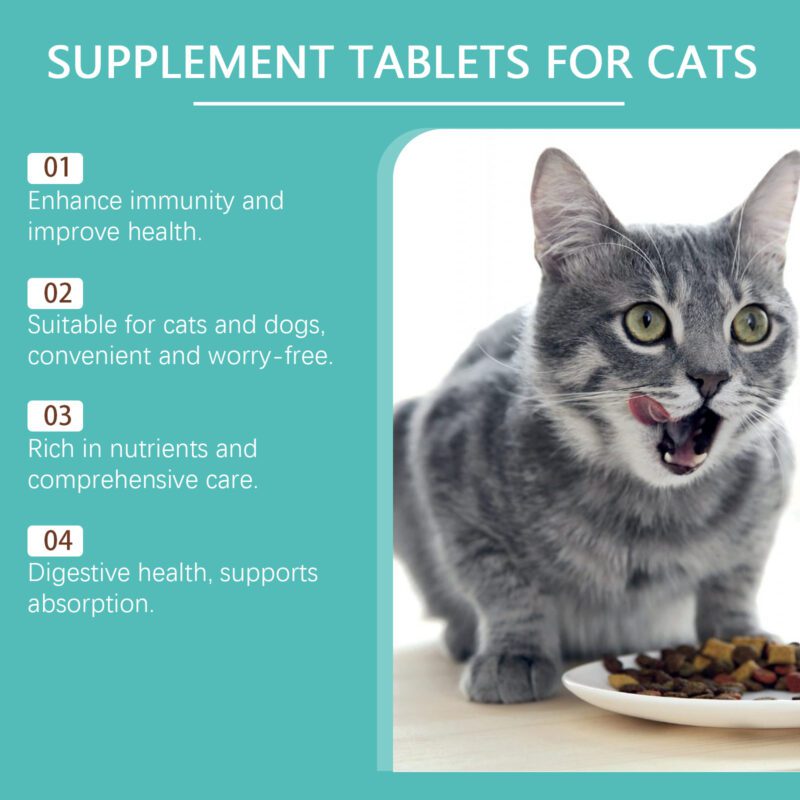 Cat Probiotic Tablets - Enhance Intestinal Health, Balance Digestion & Absorption, Premium Pet Nutritional Supplement - Image 3