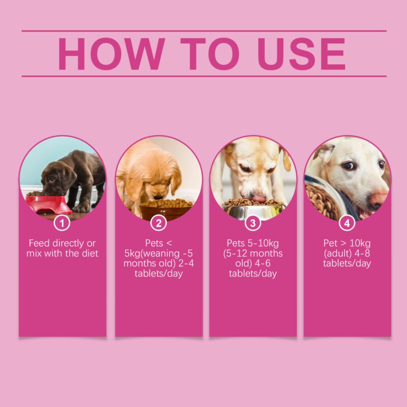 Advanced Dog Probiotic Tablets: Support Healthy Gut, Balance Digestion & Nutrient Absorption | Premium Pet Nutritional Supplements - Image 6
