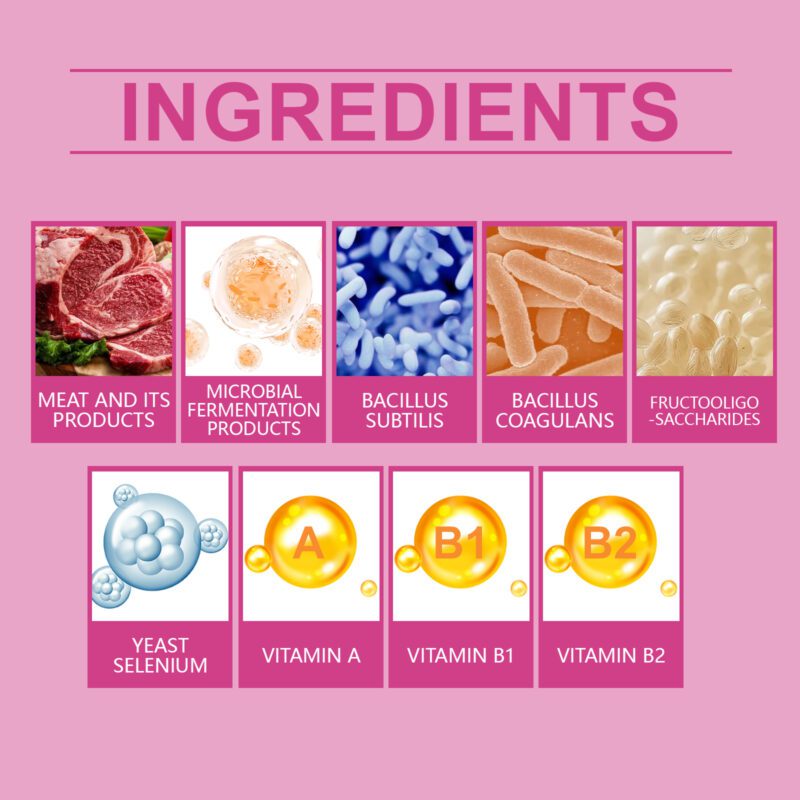 Advanced Dog Probiotic Tablets: Support Healthy Gut, Balance Digestion & Nutrient Absorption | Premium Pet Nutritional Supplements - Image 5