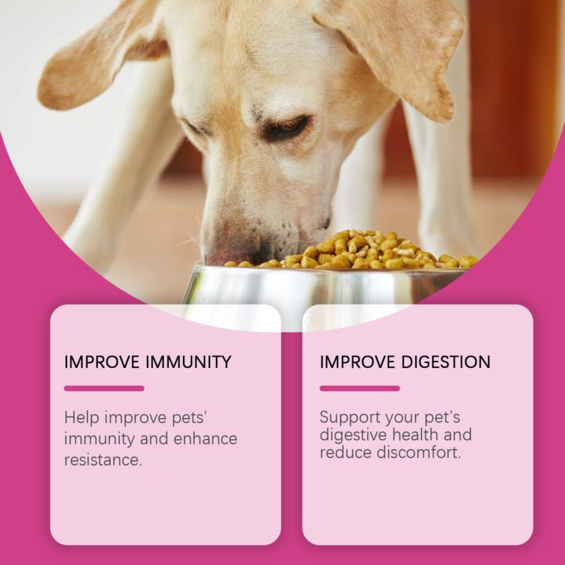 Advanced Dog Probiotic Tablets: Support Healthy Gut, Balance Digestion & Nutrient Absorption | Premium Pet Nutritional Supplements - Image 4