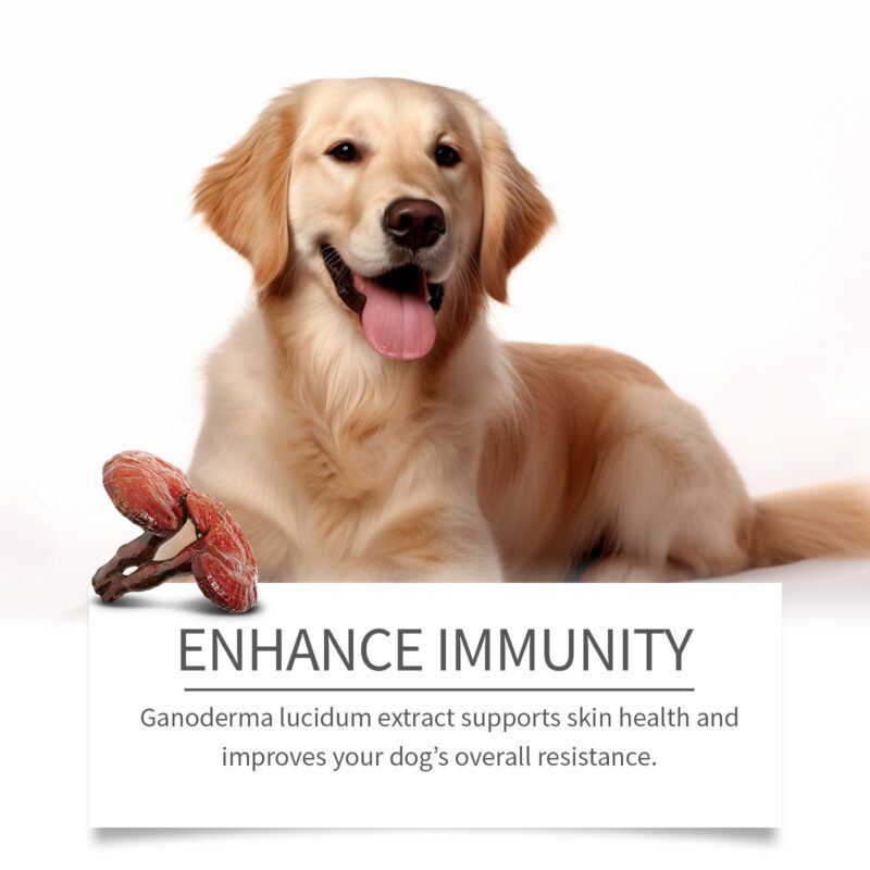 Gentle Herbal Dog Skin Cleansing Cream - Soothing Natural Formula to Nourish & Pamper Your Pup's Skin - Image 4