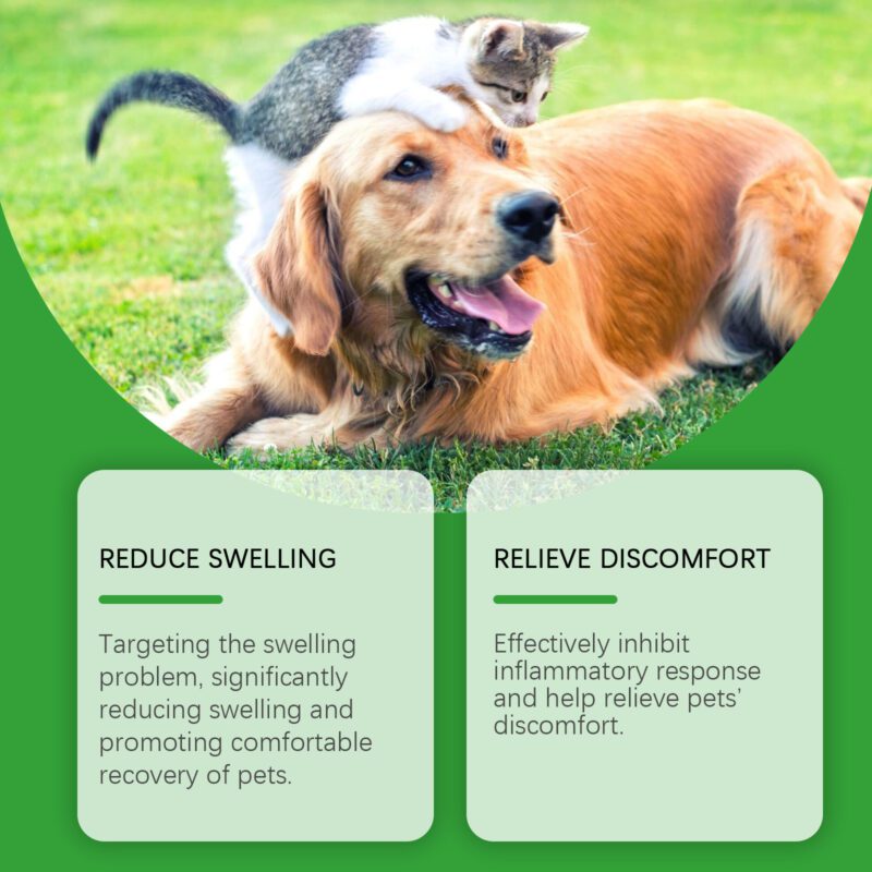 Soothing Skin Care Spray for Cats & Dogs - Relieves Itchy Irritation, Gentle Pampering Pet Spray - Image 3