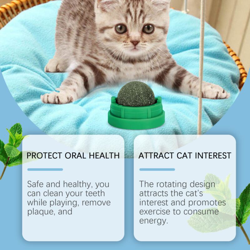 Mint-Flavored Interactive Rotating Cat Ball Toy - Chew Toy with Dental Cleaning Care for Kittens & Cats - Image 4