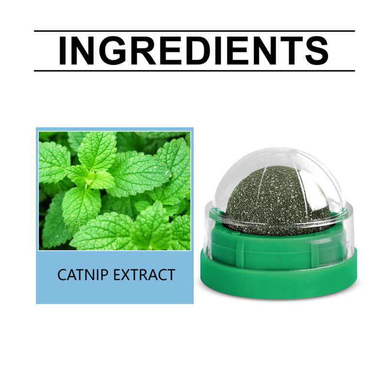 Mint-Flavored Interactive Rotating Cat Ball Toy - Chew Toy with Dental Cleaning Care for Kittens & Cats - Image 5
