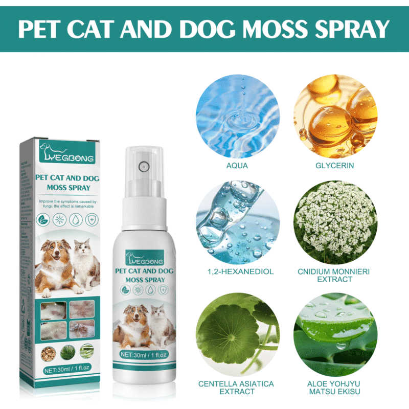 Anti-Mite Pet Skin Medicine Spray for Cats & Dogs - Relieve Itchy Skin, Soothe Redness, Effective Itch Relief Solution - Image 5