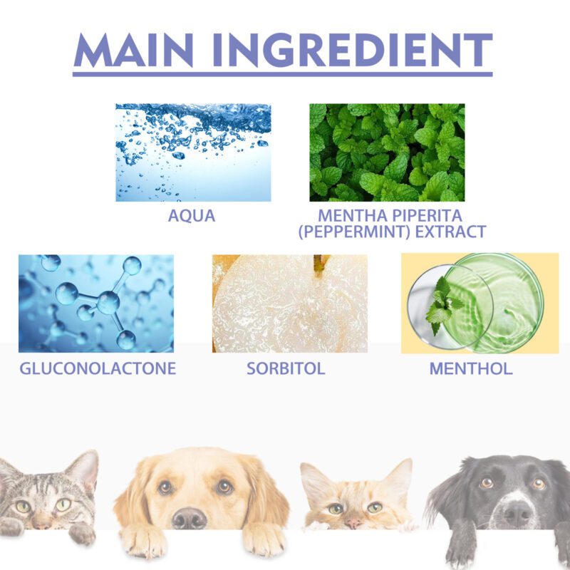 Effective Tooth Cleaning Spray for Cats & Dogs - Remove Tooth Stains, Freshen Breath, Pet Oral Care Spray - Image 5
