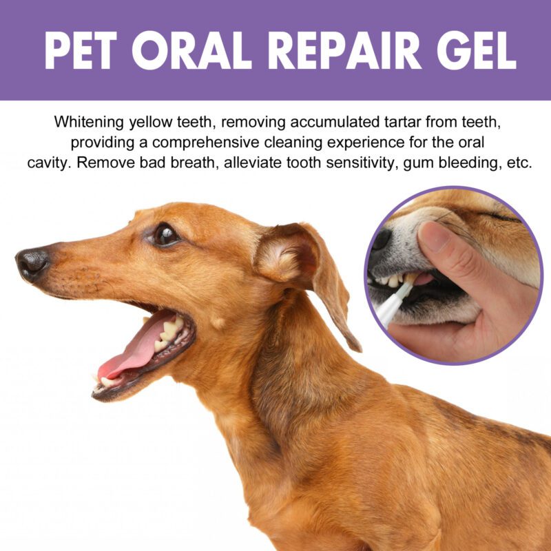 Pet Oral Care Gel (1pc) - Deeply Cleans Dog & Cat Teeth Stains, Freshens Breath & Promotes Oral Hygiene - Image 3