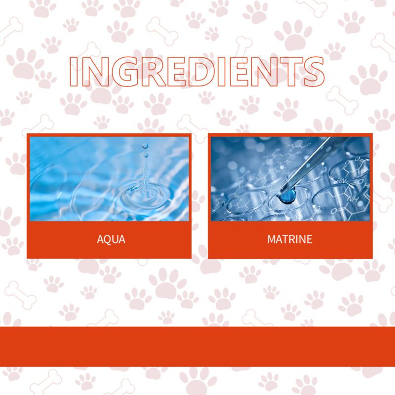 Pet Anti-Chew & Anti-Scratch Spray - Behavior Modification Training Spray for Cats and Dogs - Image 5