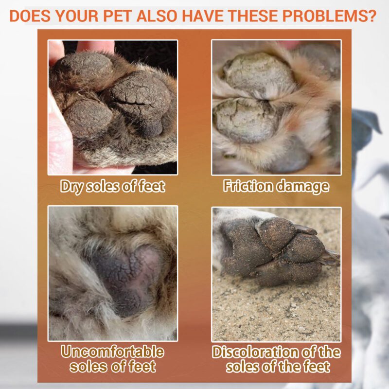 Pet Paw Care Cream for Cats & Dogs - Moisturizing & Anti-Dry Crack Foot Pad Hydration Cream - Image 4
