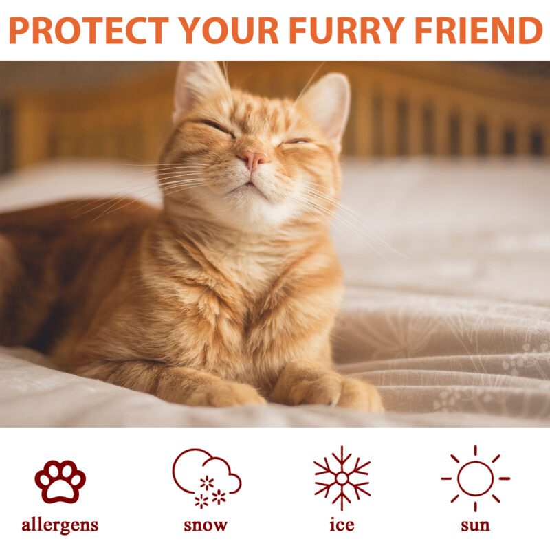 Pet Paw Care Cream for Cats & Dogs - Moisturizing & Anti-Dry Crack Foot Pad Hydration Cream - Image 3